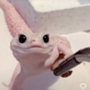 Meet your Posher, Lilliana